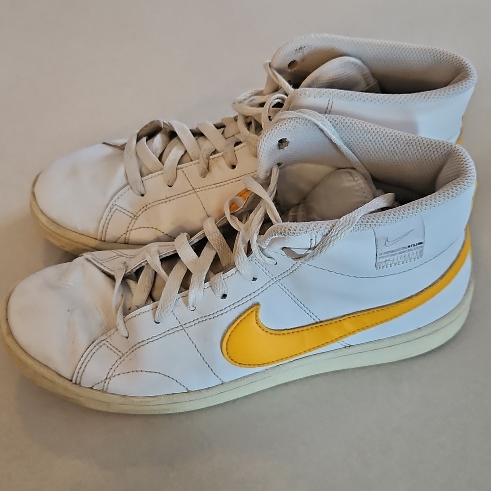 Nike Dunk Sneakers